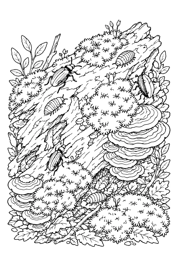 Log Habitat