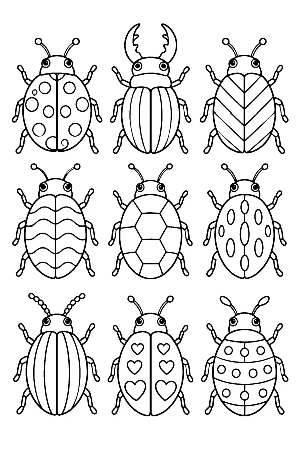 Patterned Beetle Grid