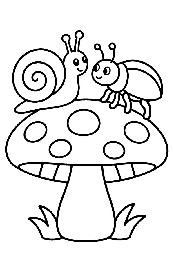 Snail And Beetle
