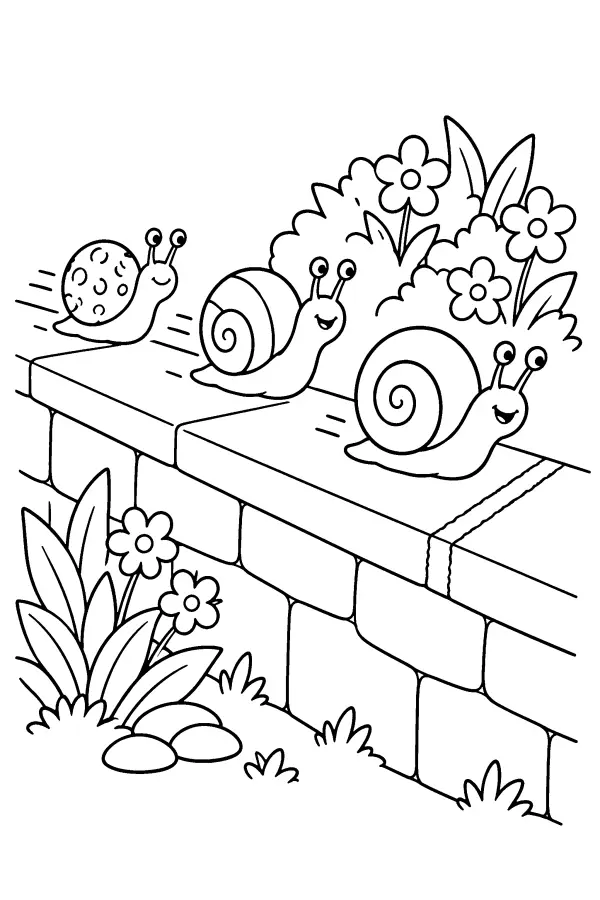 Snails On The Wall