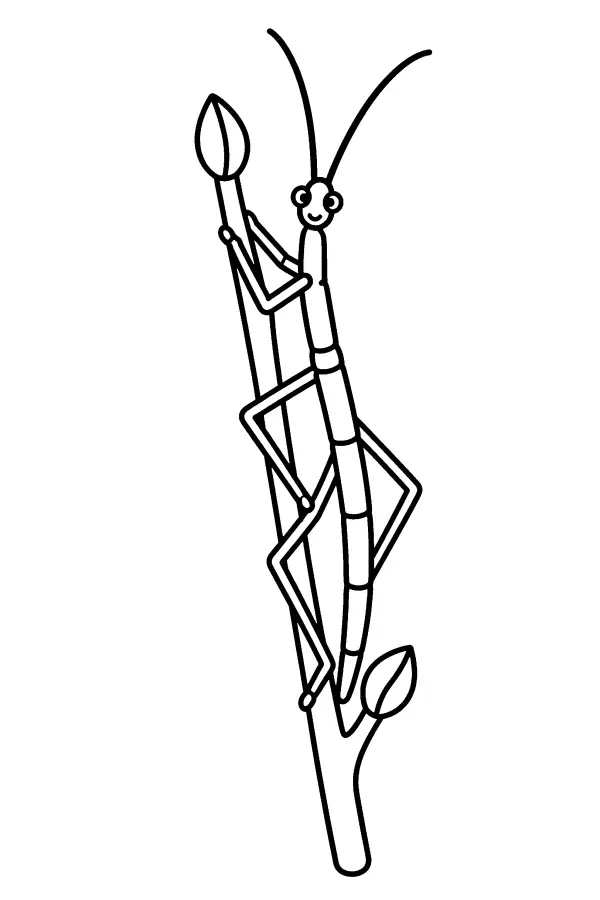 Twig Dweller