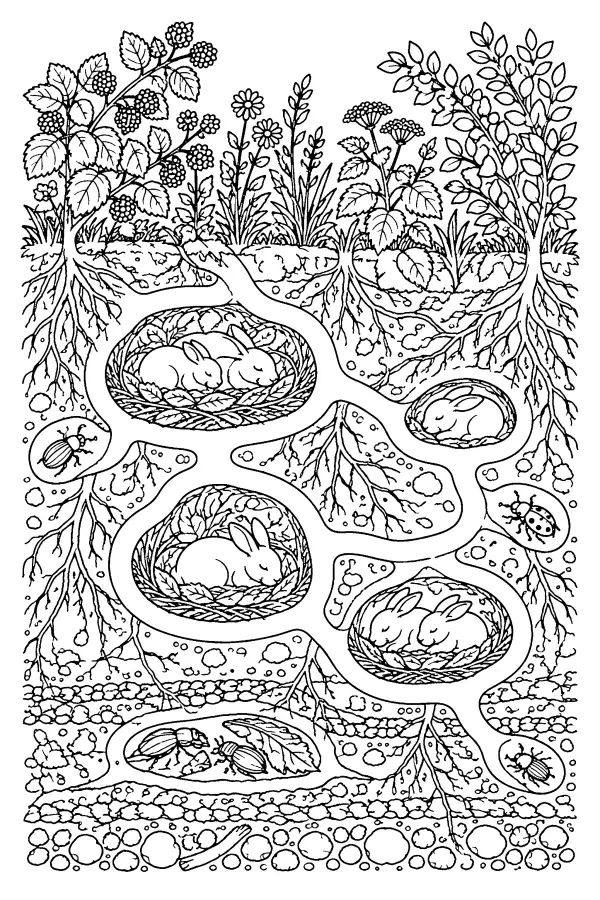 Coloriage détaillé d’une haie avec terriers de lapins