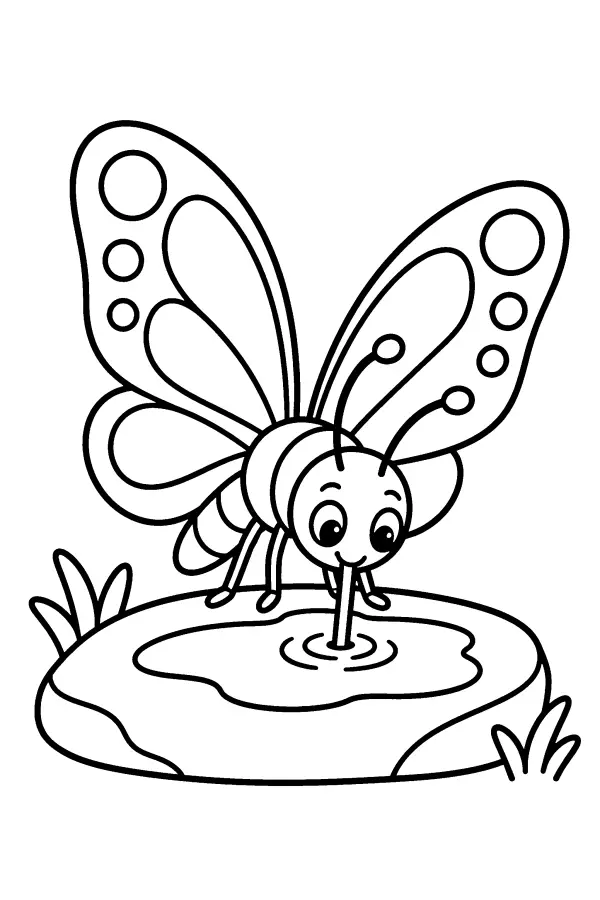 Coloriage d’un papillon buvant à une flaque