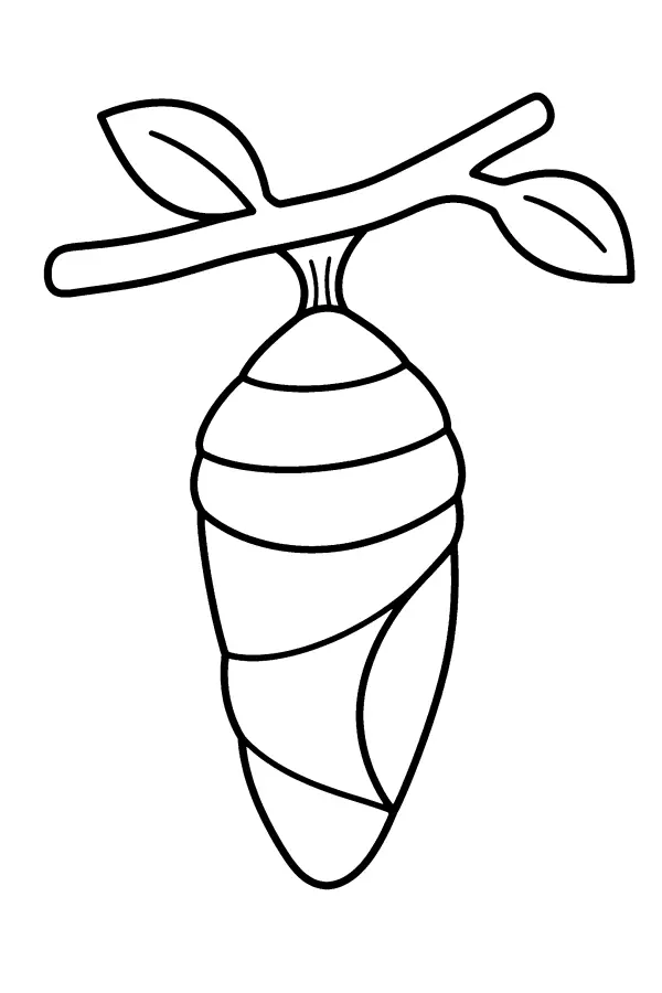 Coloriage facile d’une chrysalide suspendue