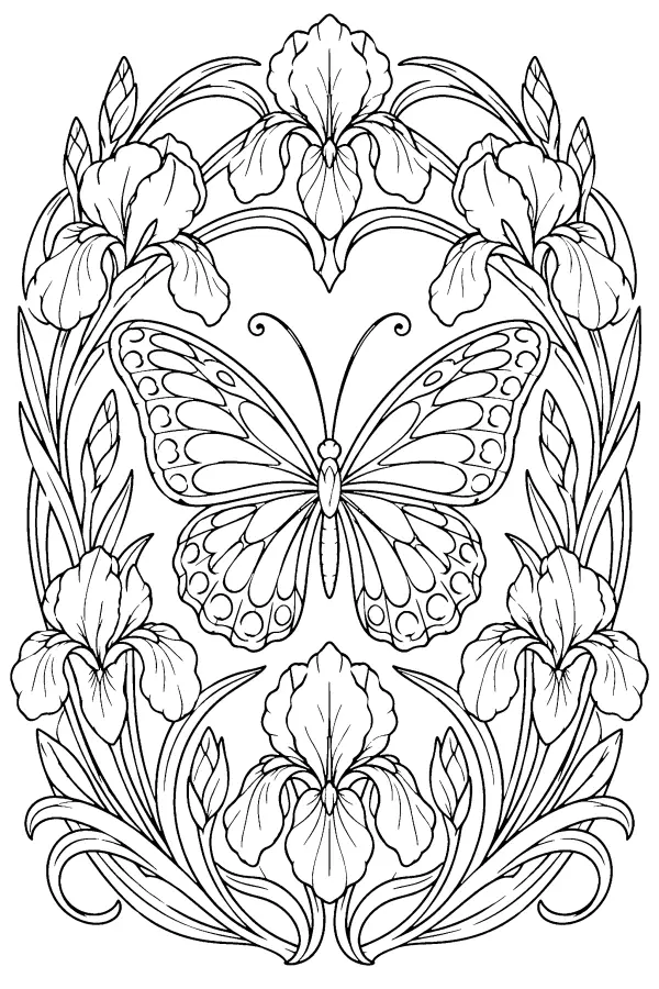 Dessin à colorier d’un papillon encadré d’iris