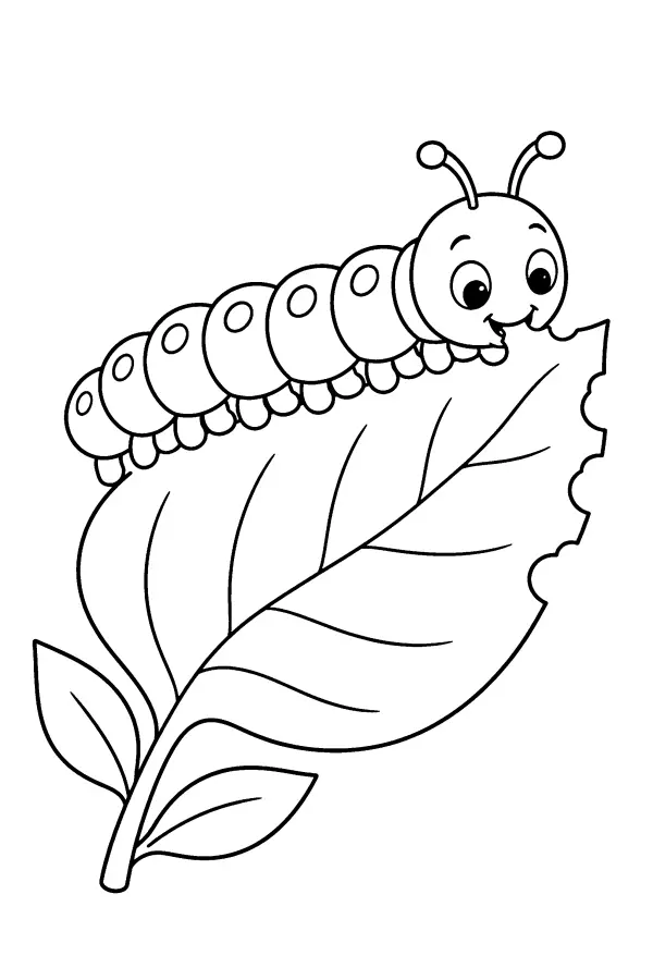 Coloriage d’une chenille mangeant une feuille
