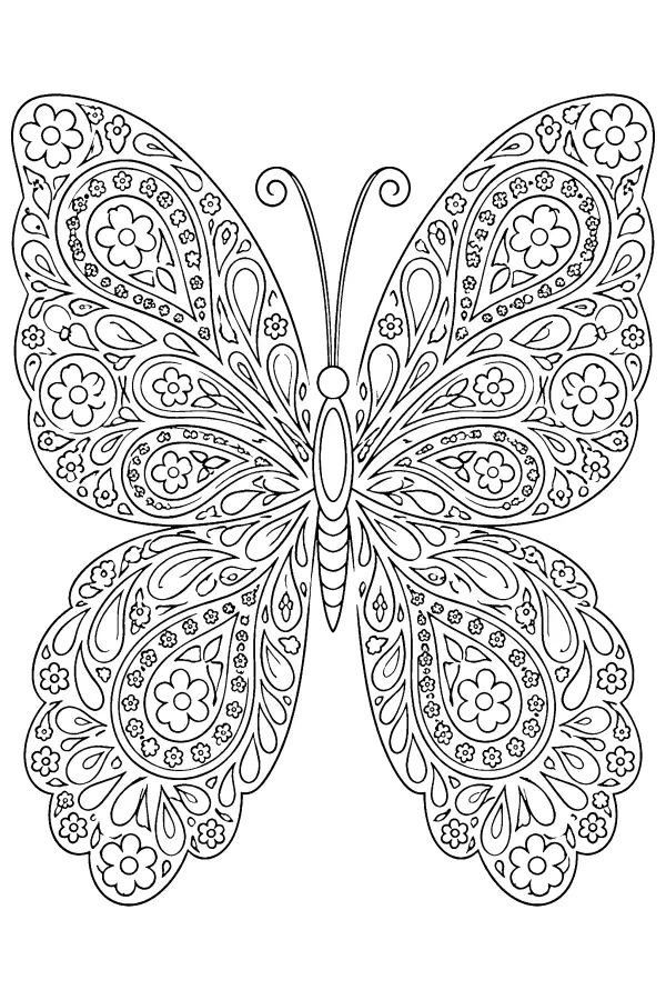 Coloriage détaillé d’un papillon aux ailes paisley