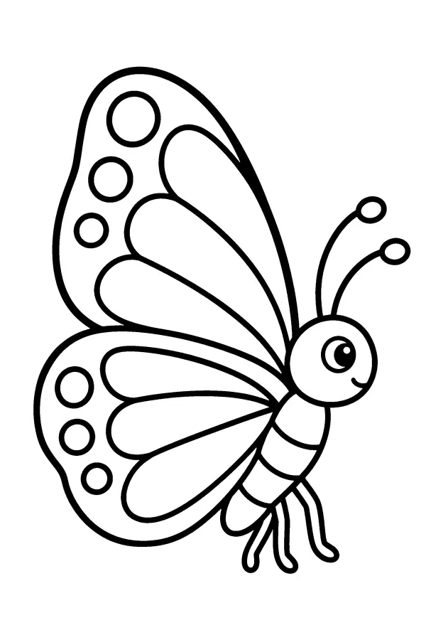 Coloriage facile d’un papillon vu de profil