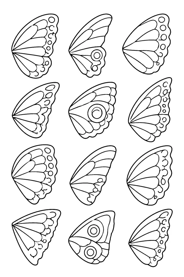 Coloriage de douze formes d’ailes de papillons
