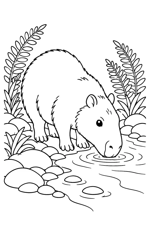 Capybara At Stream
