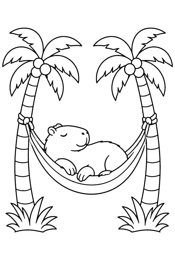Palm Hammock Nap