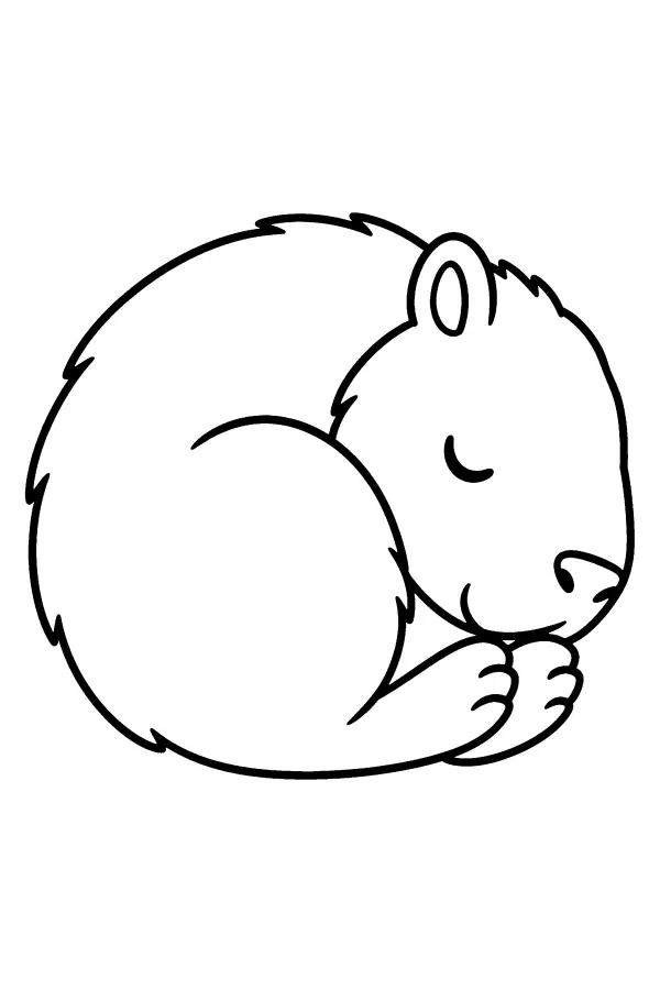 Sleeping Capybara Curl