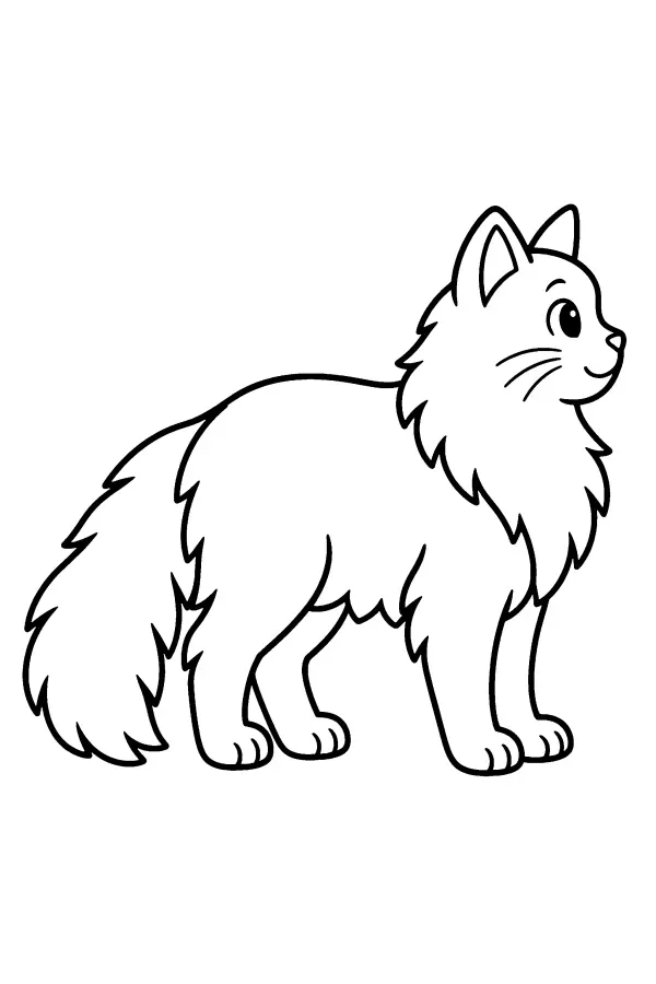 Dessin à colorier d’un chat à poil long vu de profil