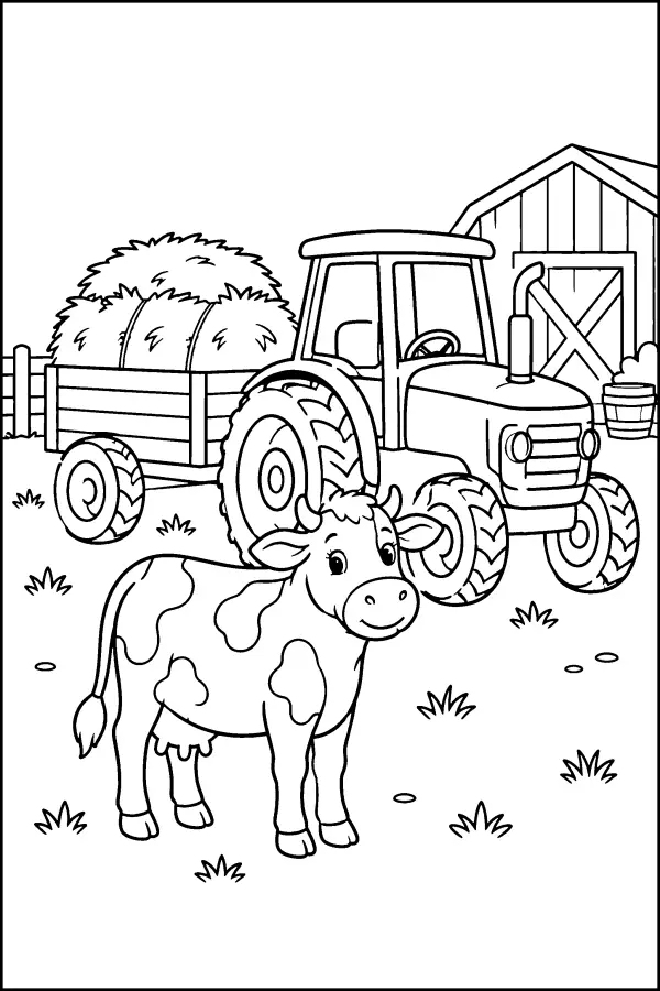 Cow And Hay Tractor