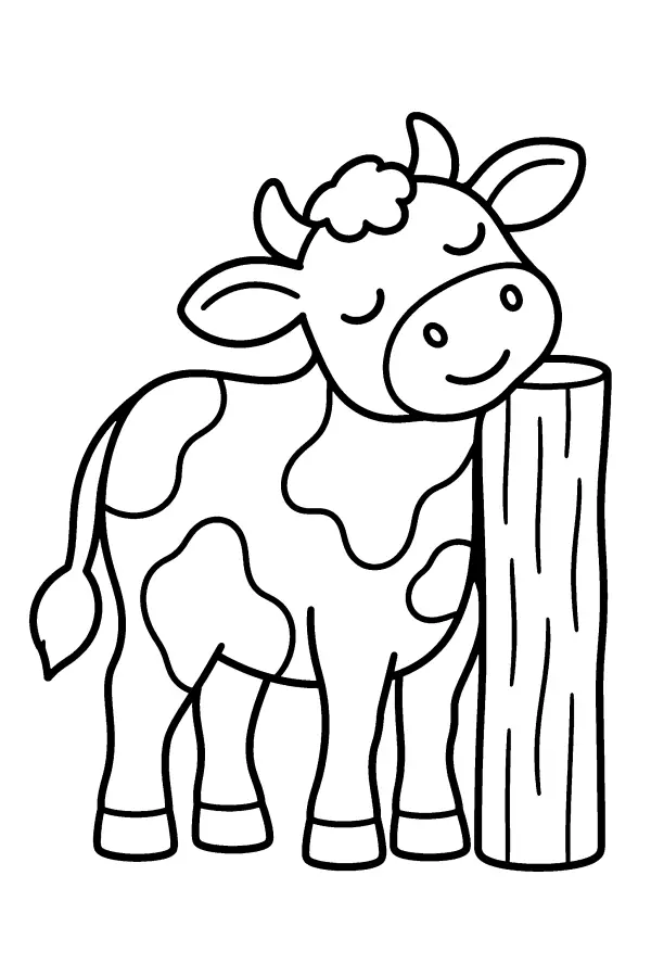 Cow By Fence Post
