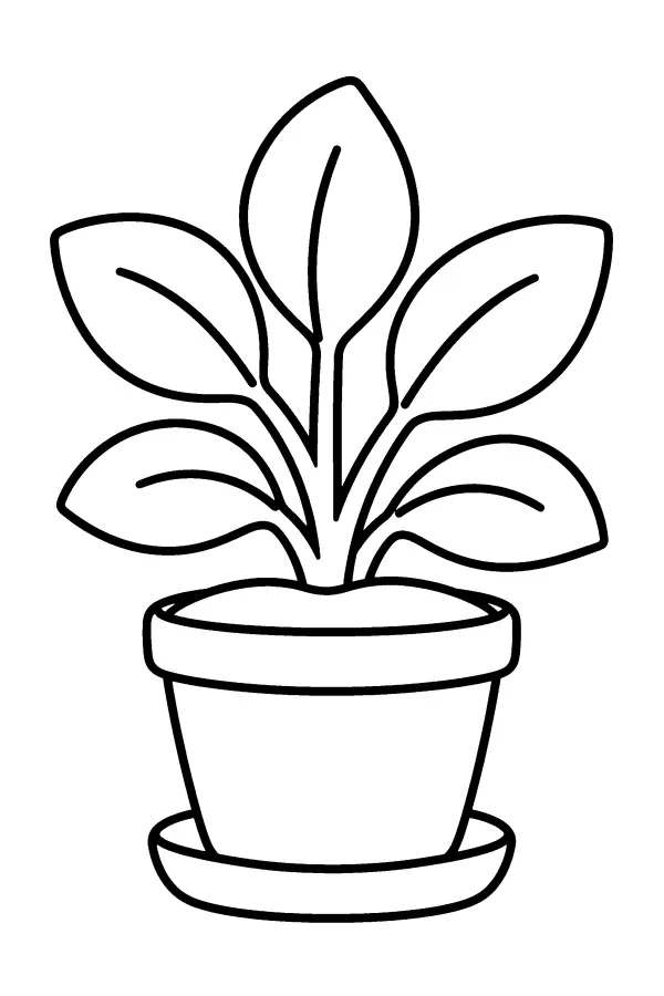 Potted Leaf Plant