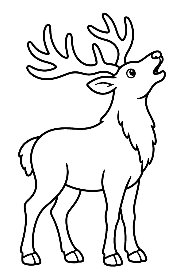 Calling Stag