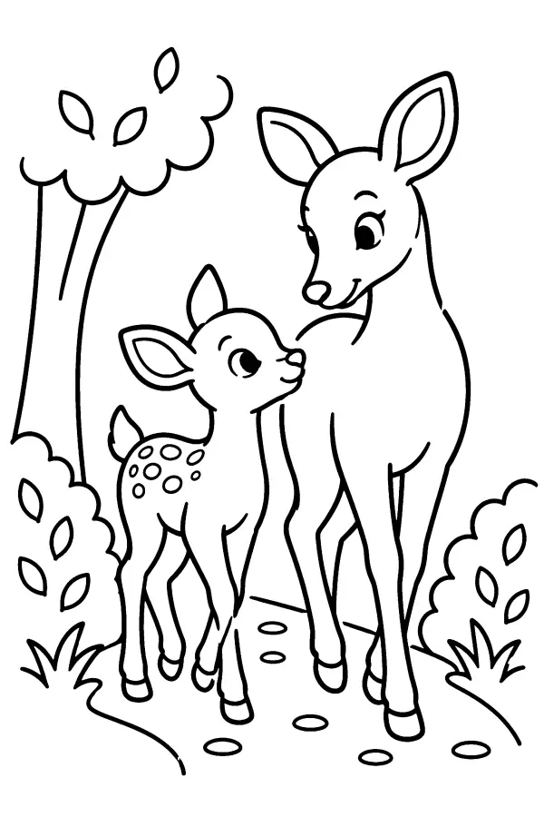 Doe And Fawn Trail