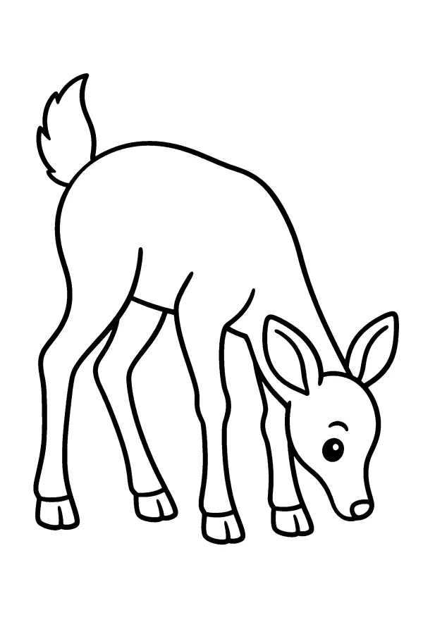 Grazing Doe