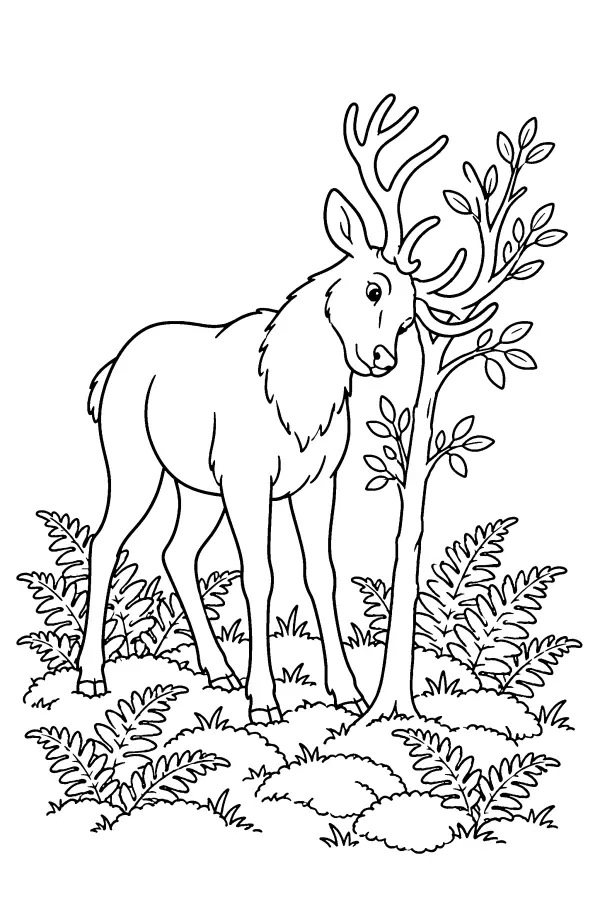 Stag And Sapling