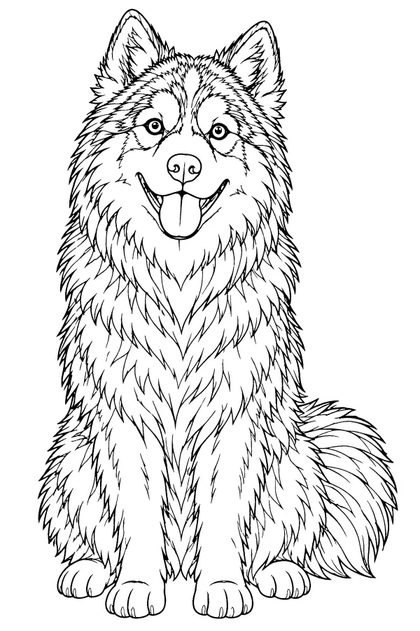 Coloriage détaillé d’un portrait de chien à poil fourni