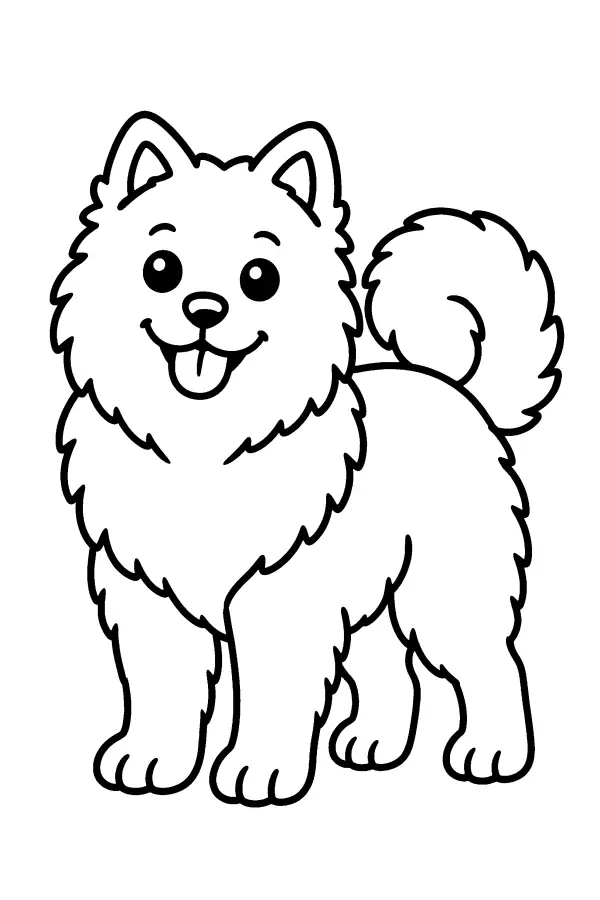 Coloriage facile d’un chiot spitz à la queue enroulée