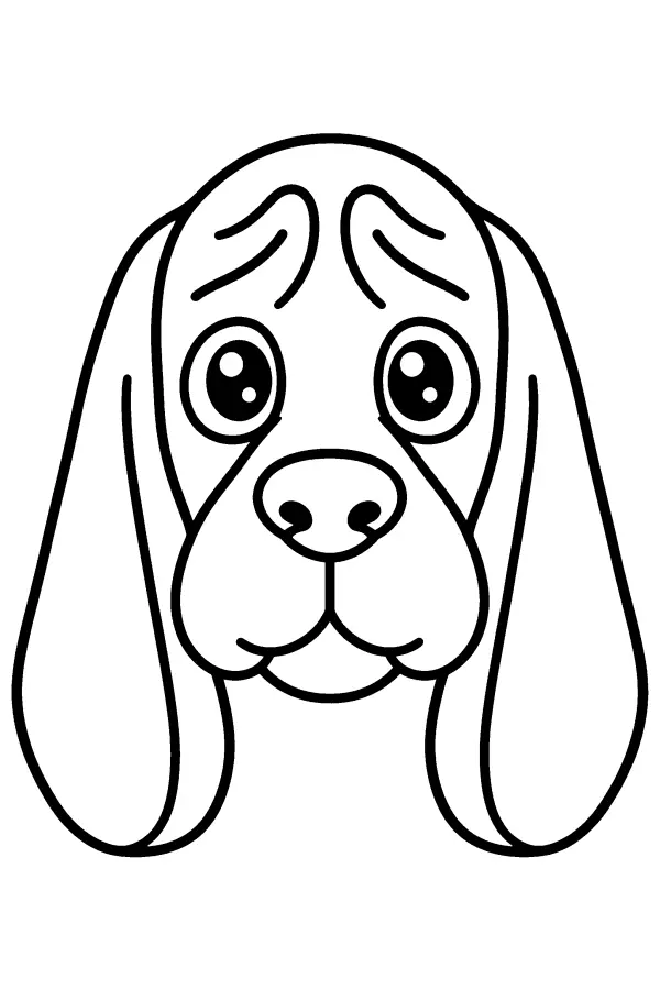 Coloriage d’une tête de chien basset aux longues oreilles