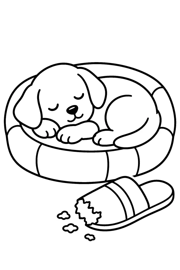 Dessin à colorier d’un chiot endormi près d’une pantoufle