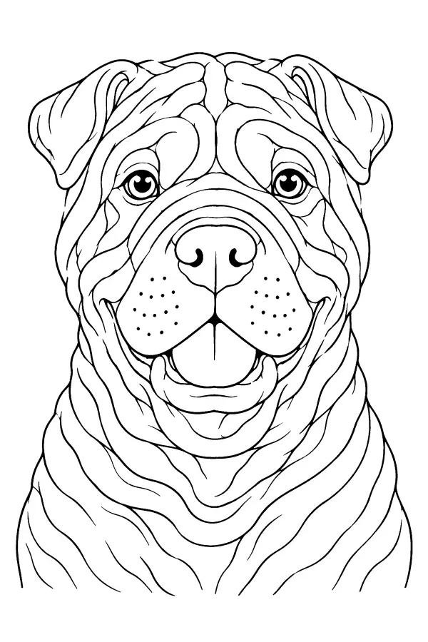 Coloriage d’un portrait de chien aux plis du museau
