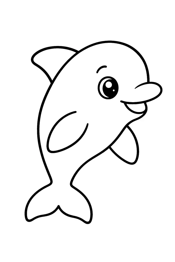 Baby Dolphin Swim
