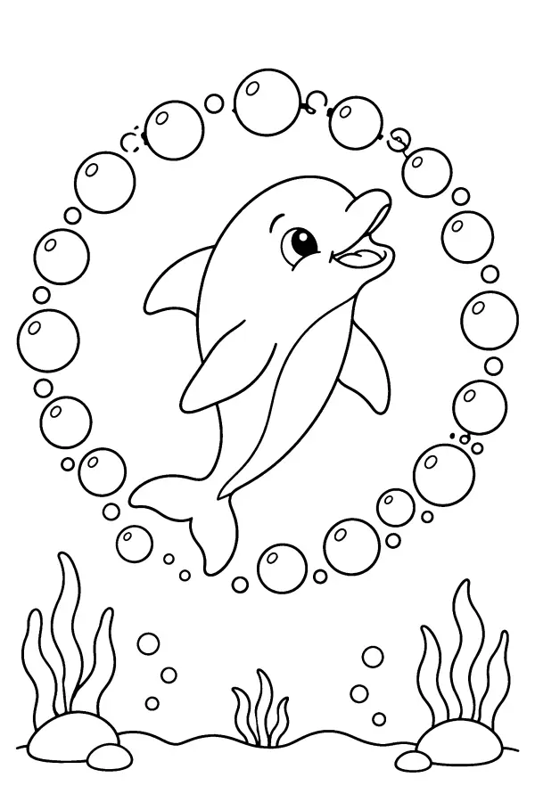 Bubble Ring Dolphin