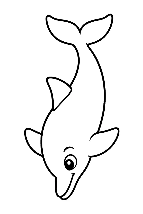 Diving Dolphin
