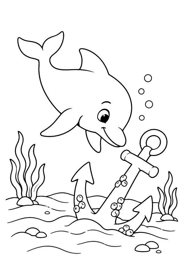 Dolphin and Anchor