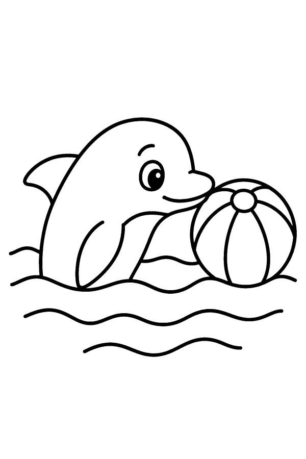 Dolphin and Beach Ball