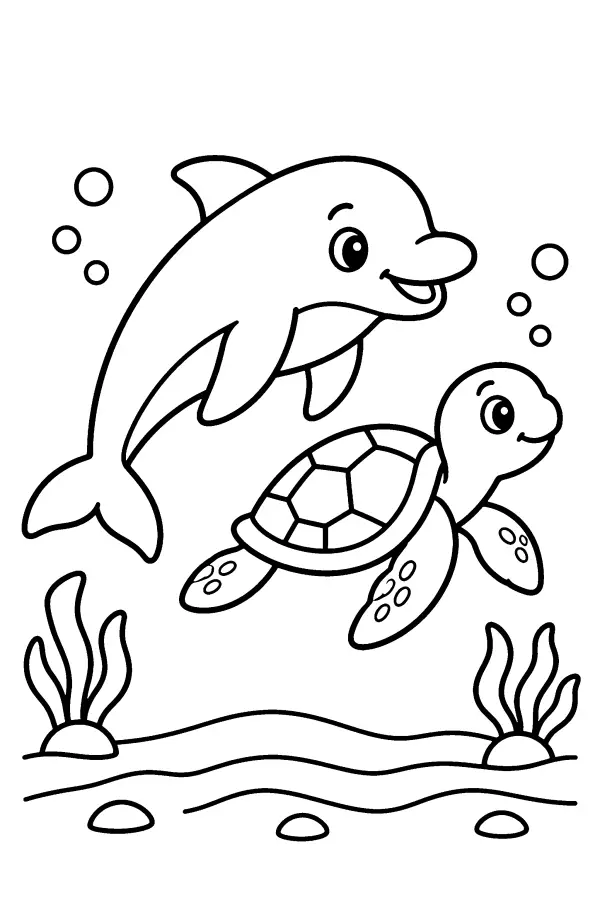 Dolphin And Turtle