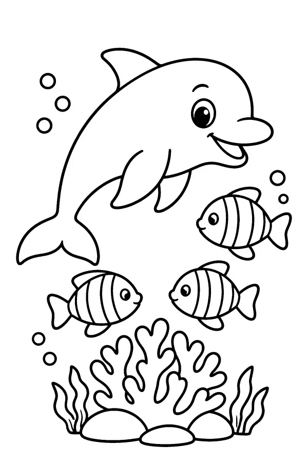 Dolphin By Coral