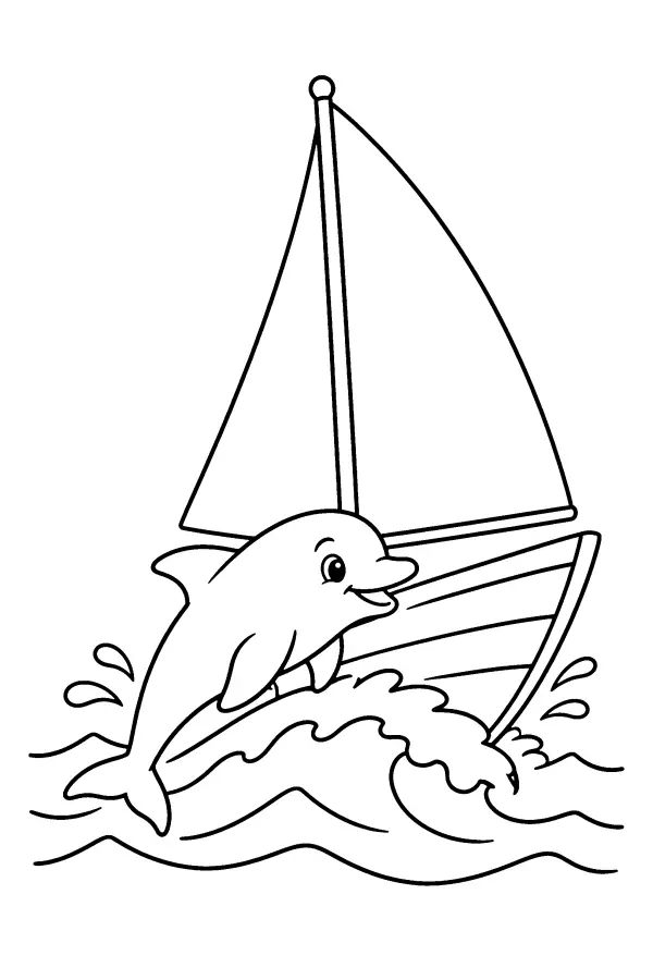 Dolphin Sail Ride