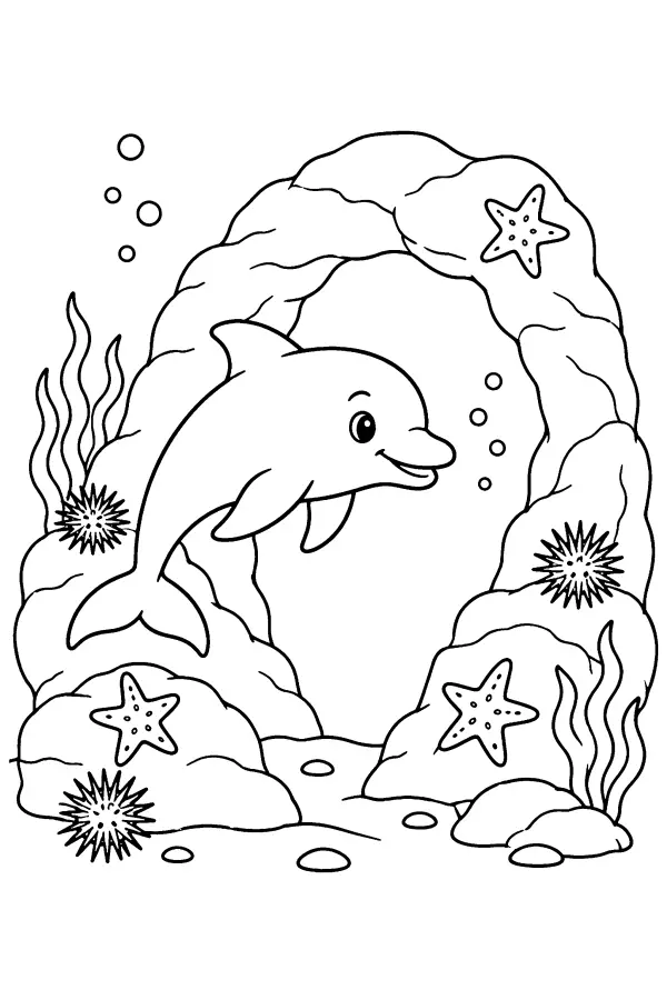 Dolphin Through Arch
