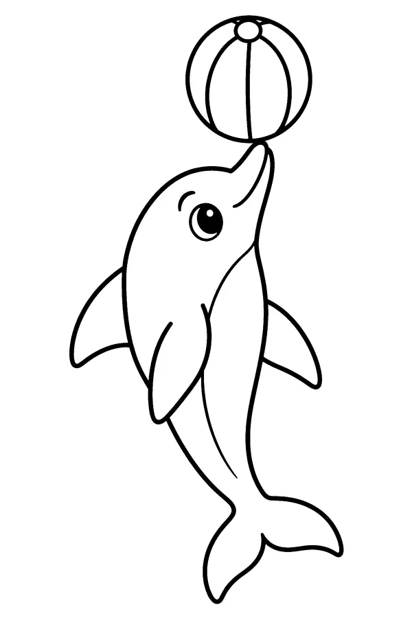 Dolphin With Ball
