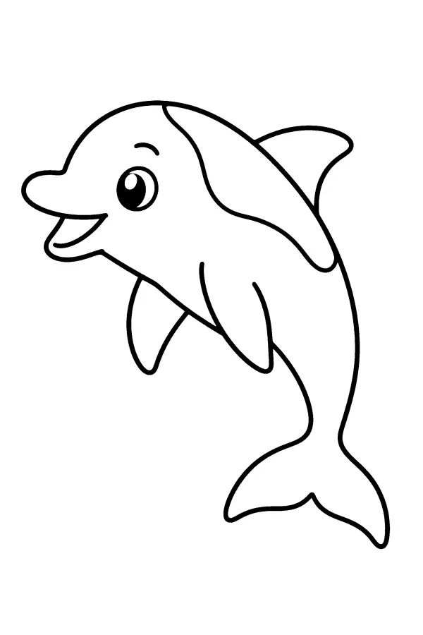 Playful Dolphin