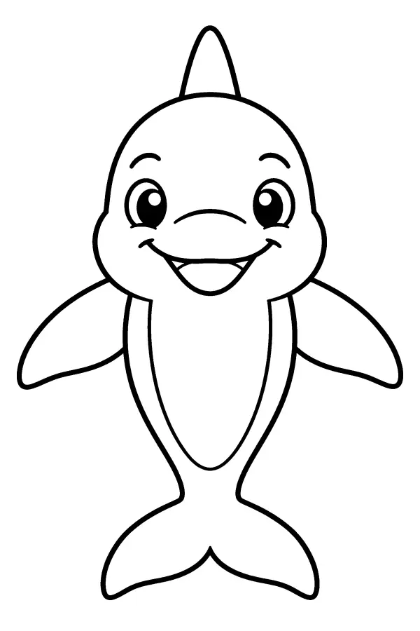Smiling Dolphin