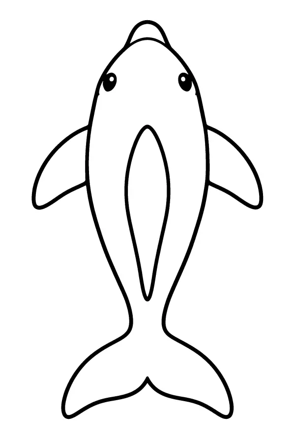 Top View Dolphin