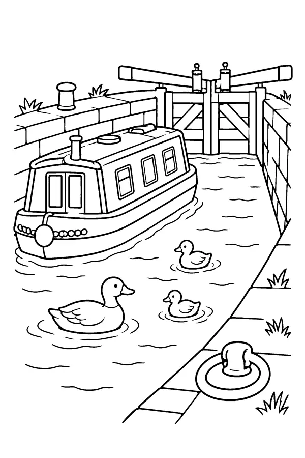 Canal Lock Ducks