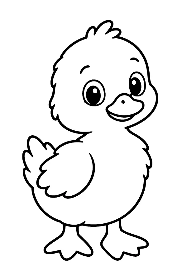 Downy Duckling
