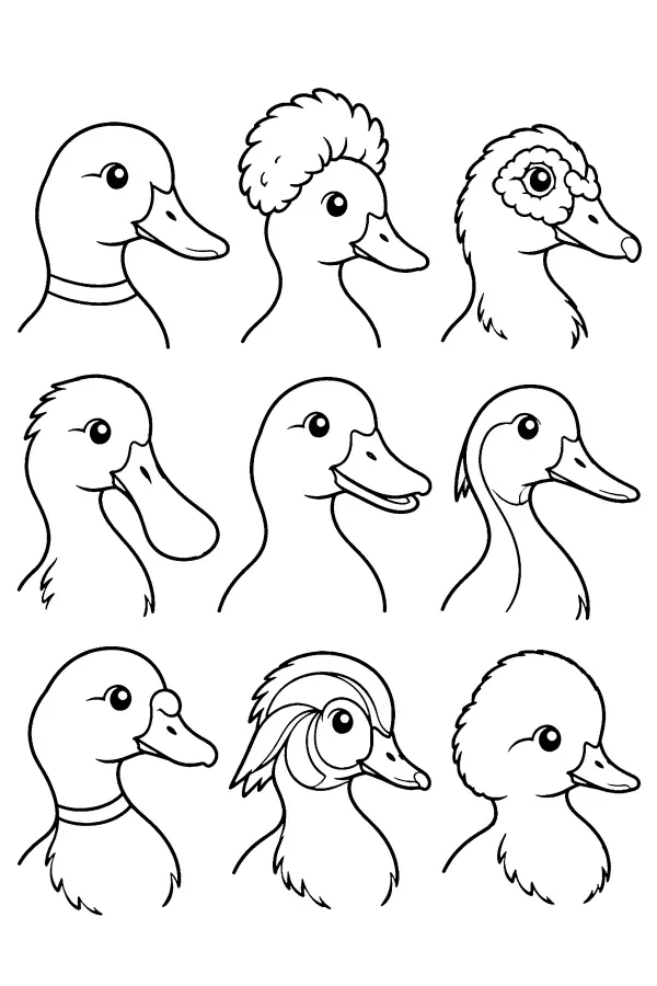 Duck Head Grid