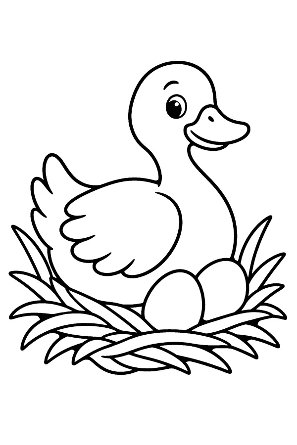 Duck Nest Scene