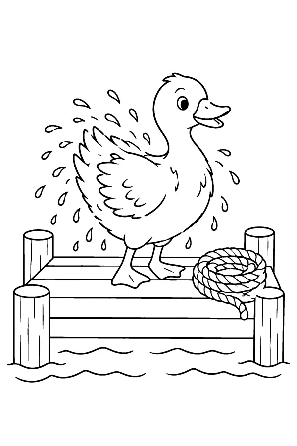 Duck On Jetty