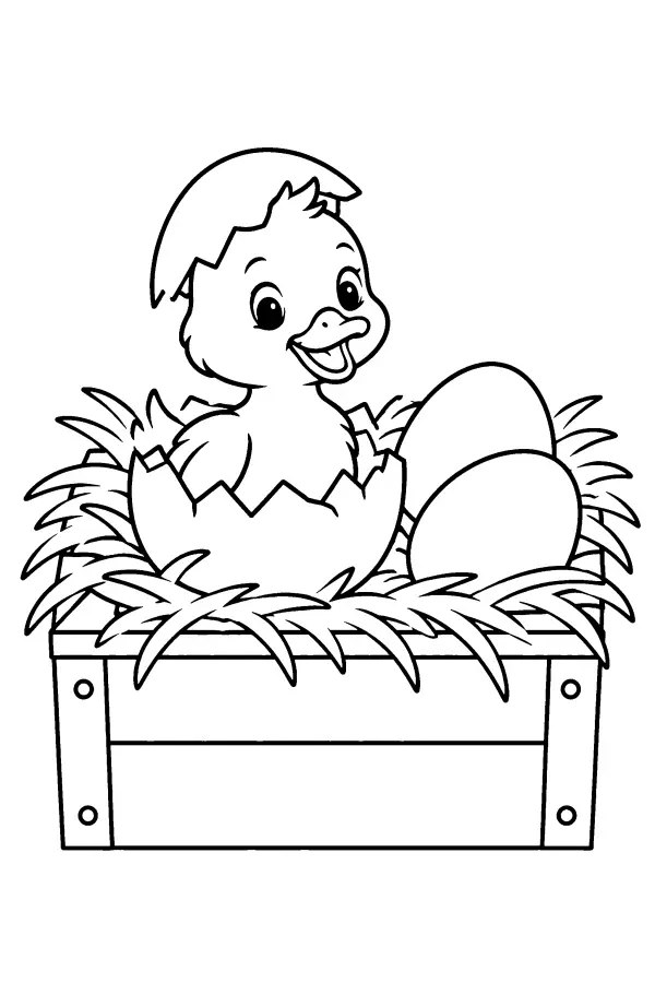 Duckling Nest Box