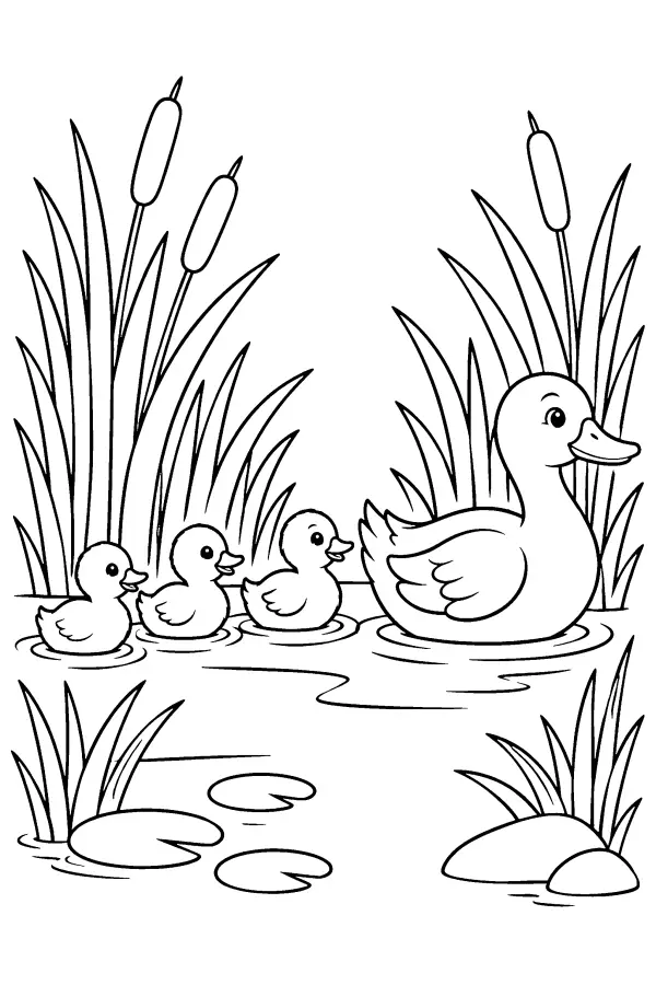 Ducklings In Reeds