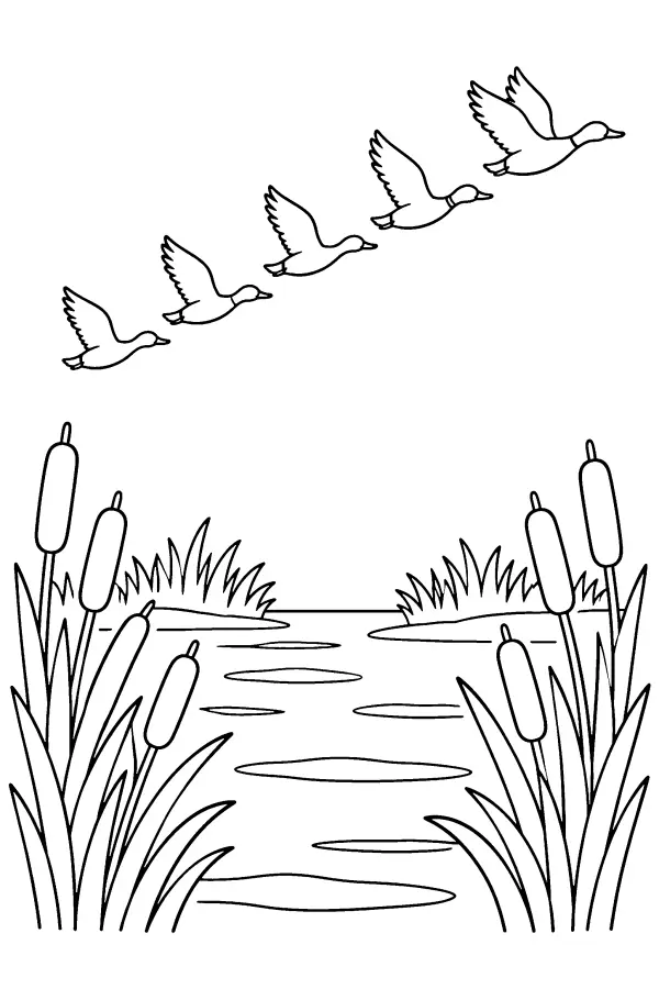 Flock Over Marsh